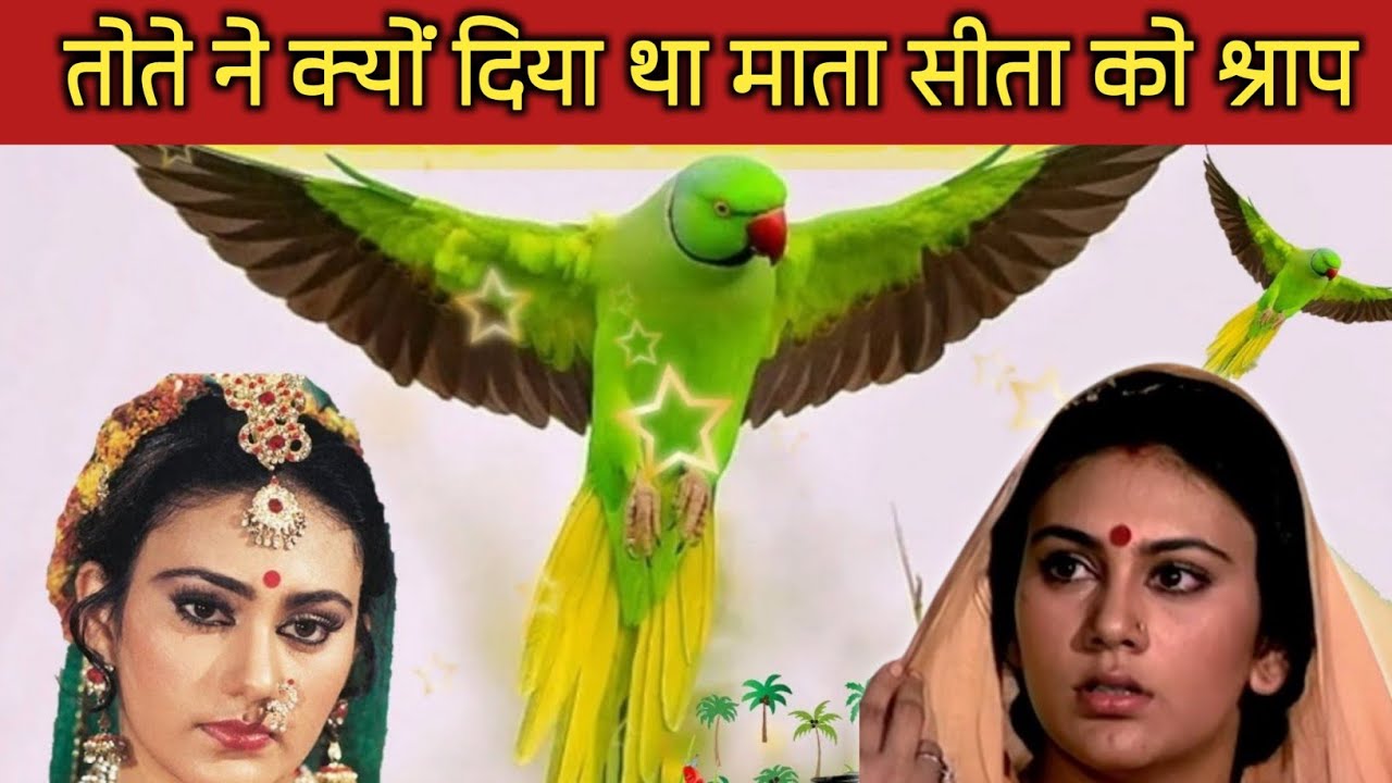 तोते ने सीता को श्राप क्यों दिया | आखिर तोते ने क्यों दिया माता सीता को श्राप | tota tota ka shrap