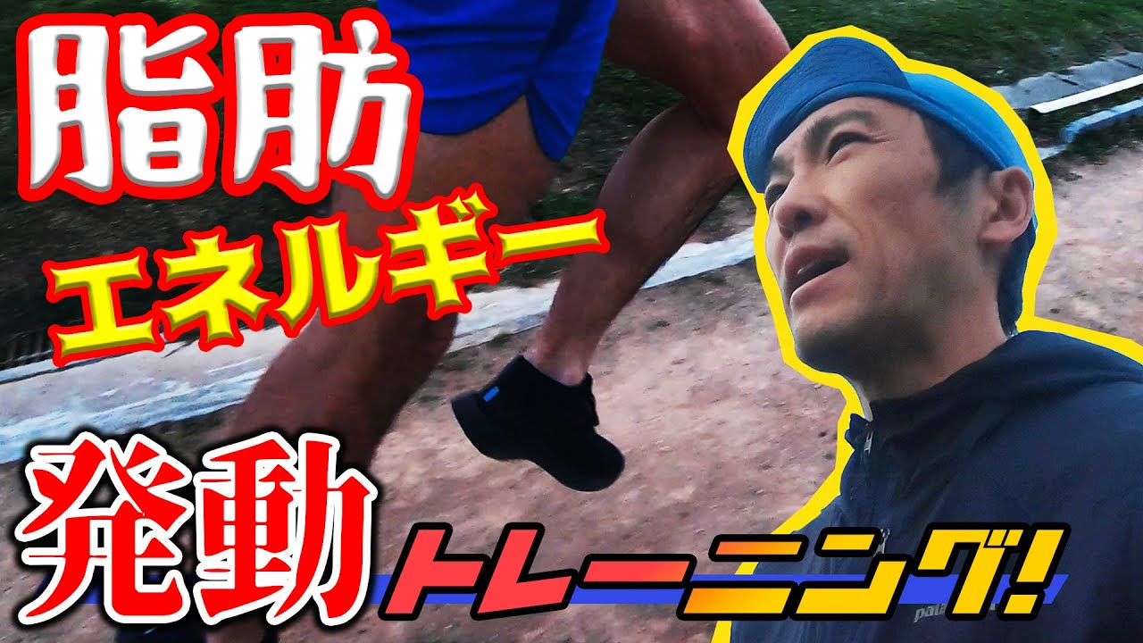 脂肪を使って走れるボディを手に入れる！（脂質代謝促進トレーニング）