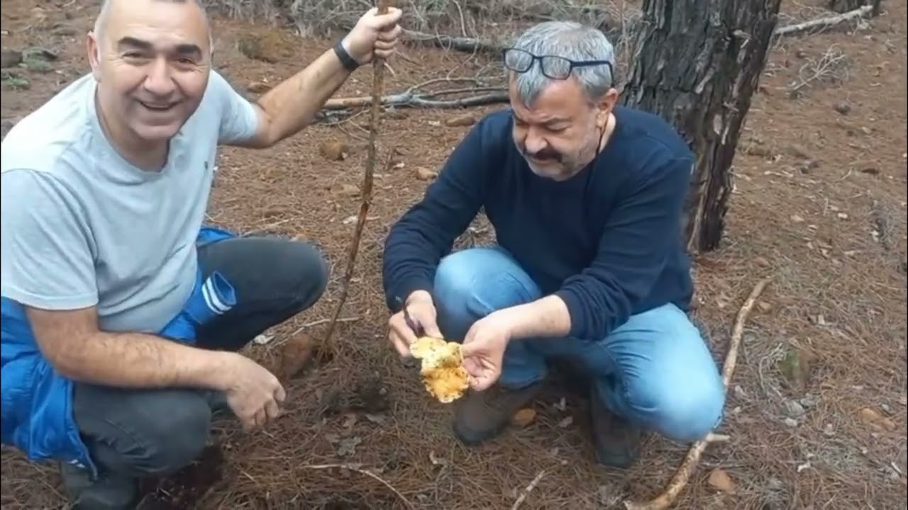 Antalya Kanlıca Mantarı Avı 1 Şubat 2026