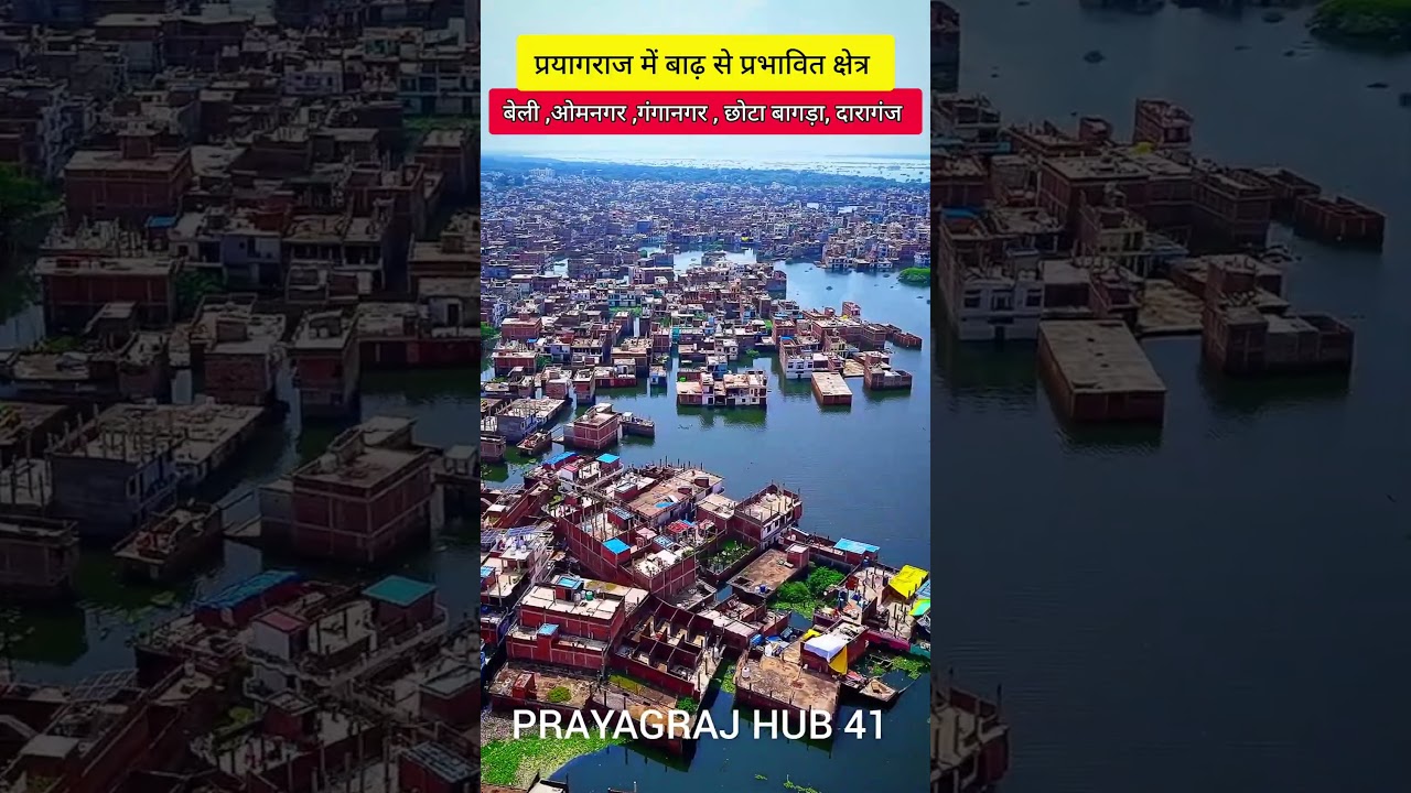 प्रयागराज में बाढ़ से प्रभावित क्षेत्र | flood in prayagraj | prayagraj flood #shorts #trending