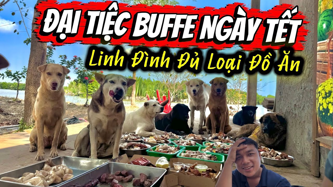 Đại Tiệc Buffe Linh Đình Đủ Loại Đồ Ăn Ngày Tết Sum Vầy - Đồ Ăn Quá Nhiều Không Thể Ăn Hết