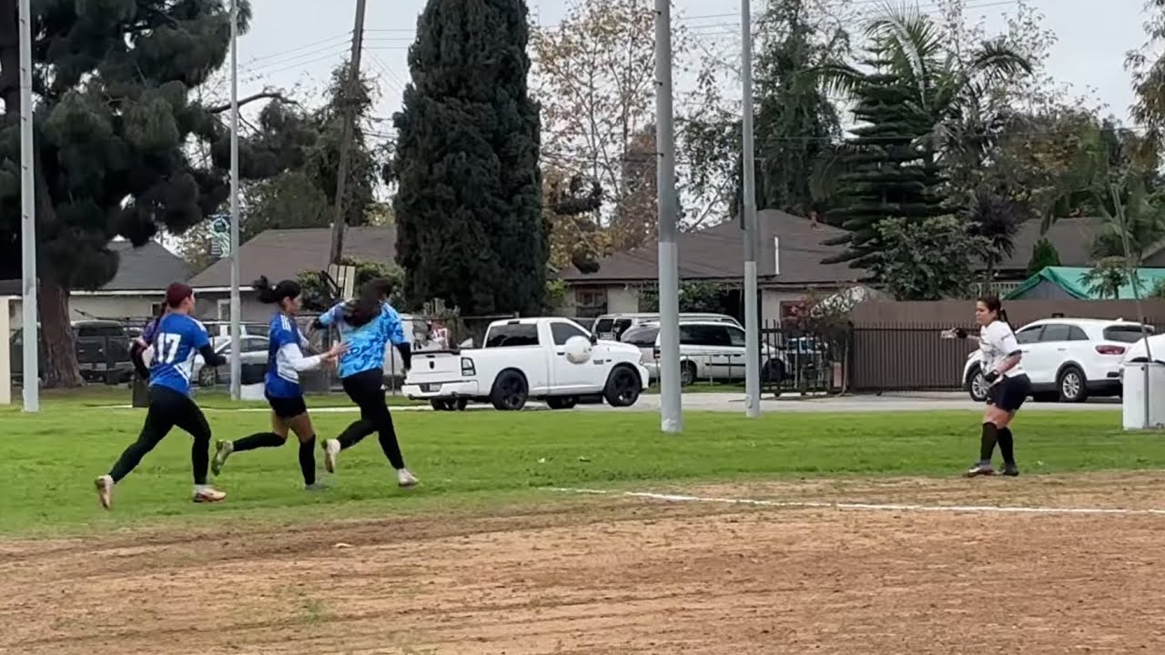 Puebla Highlights 1/24/26