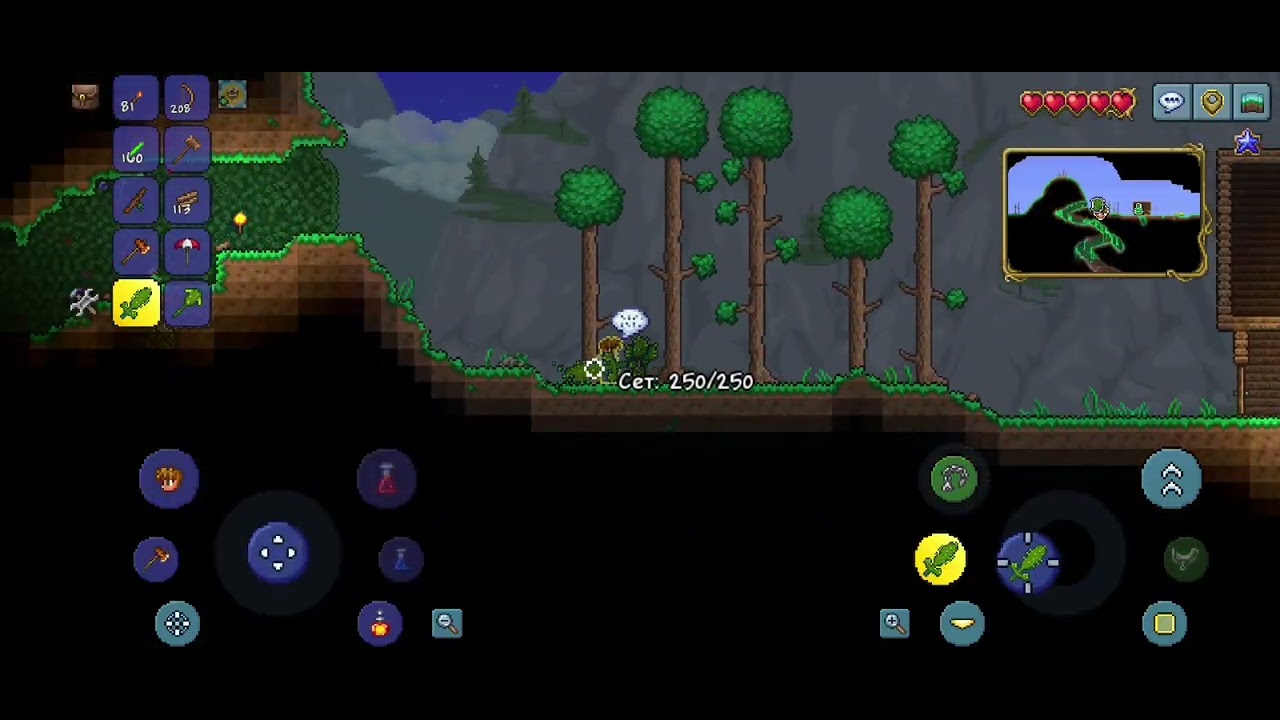 Снова Terraria...