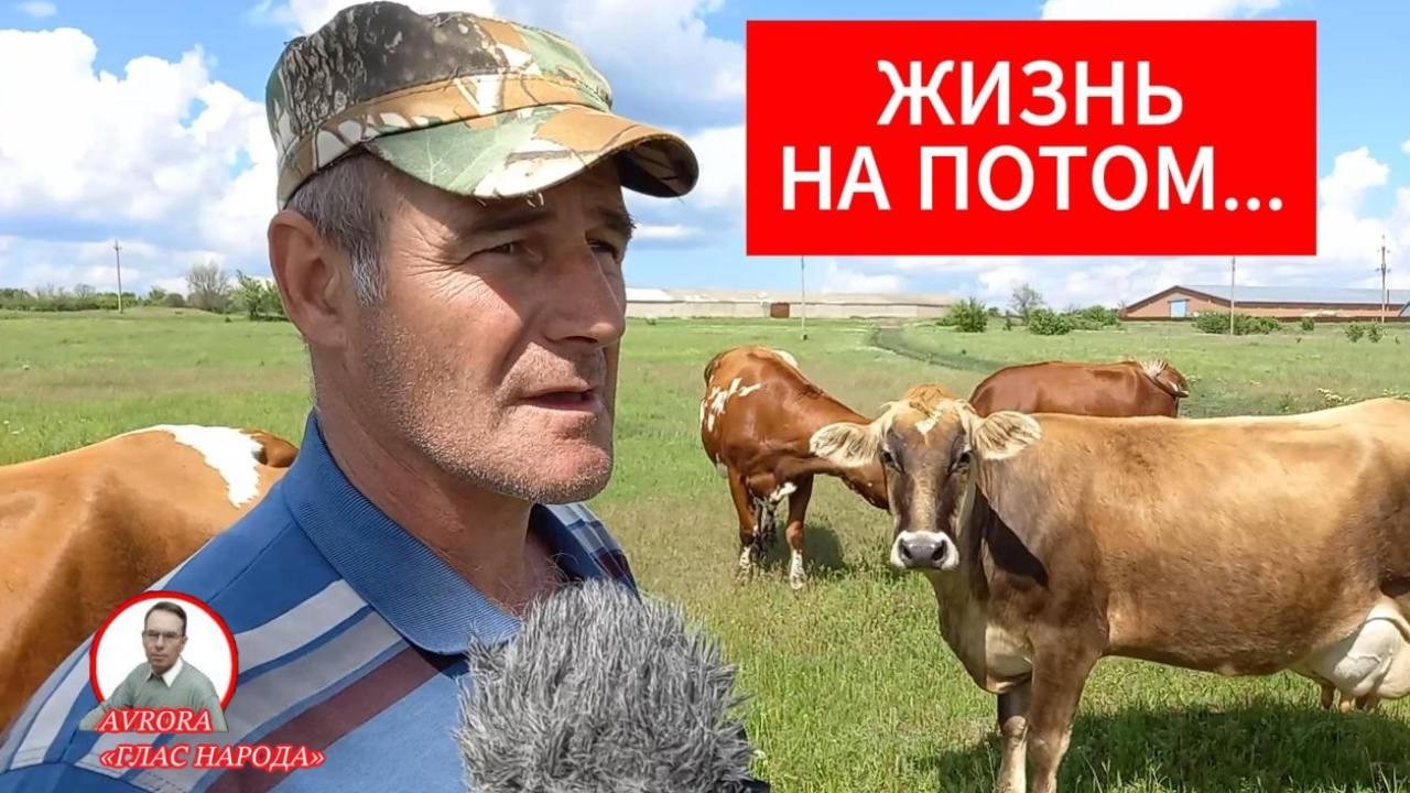 ФЕРМЕРЫ РАССКАЗАЛИ ПОЧЕМУ НЕ ПОКУПАЮТ НОВУЮ ТЕХНИКУ