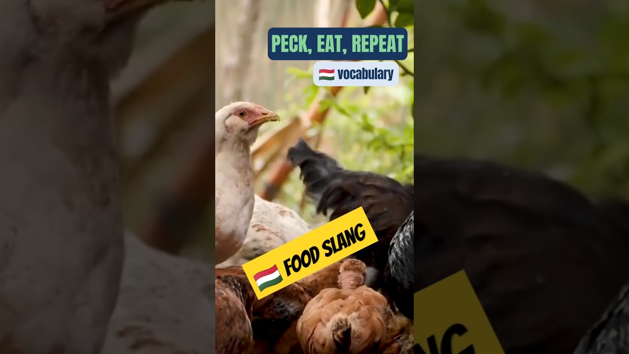 Hungarian Food Slang #learnhungarian #hungarianforbeginners #hungarianlanguage #hungarianlesson