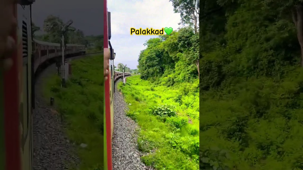 #palakkad #greenery #traintravel #travelvlog #shorts #kerala #flood #rainyday #weatherupdate #mgroad