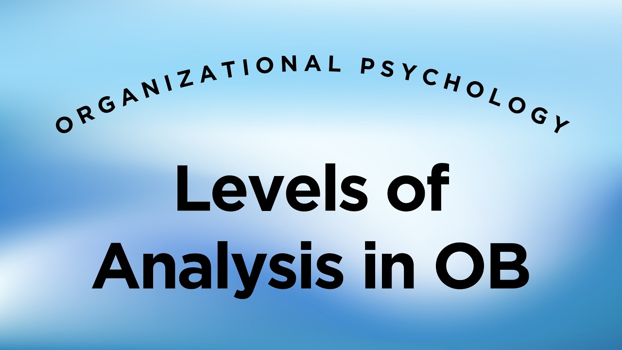 Levels of Analysis in Organizational Behavior - Organizational Psychology Lecture 1 Part 3