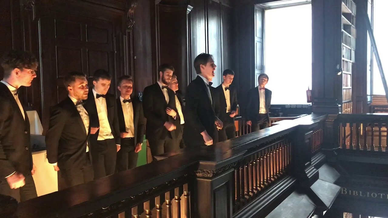 Trinitones performing in TCD's Long Library for Crowe Ireland