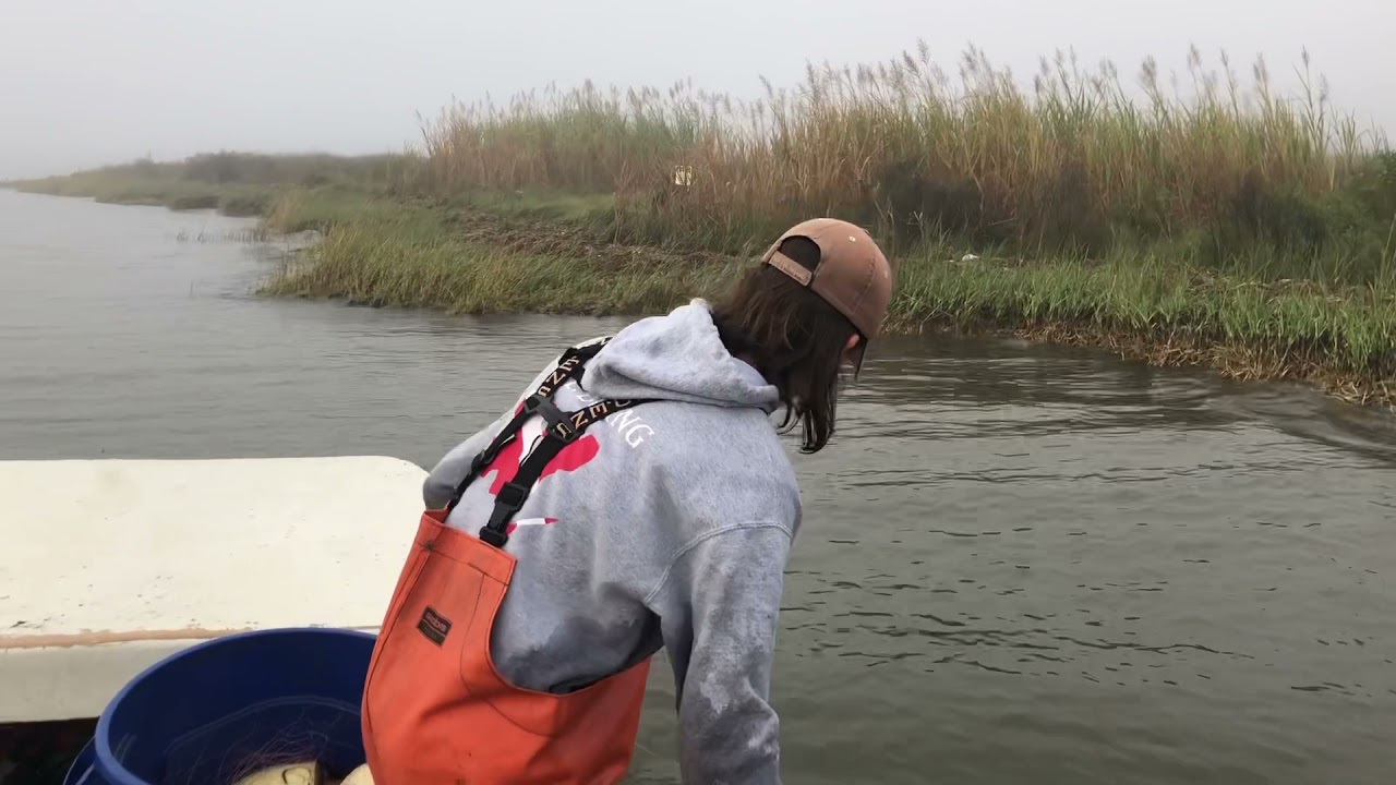 Commercial Flounder Fishing 2021
