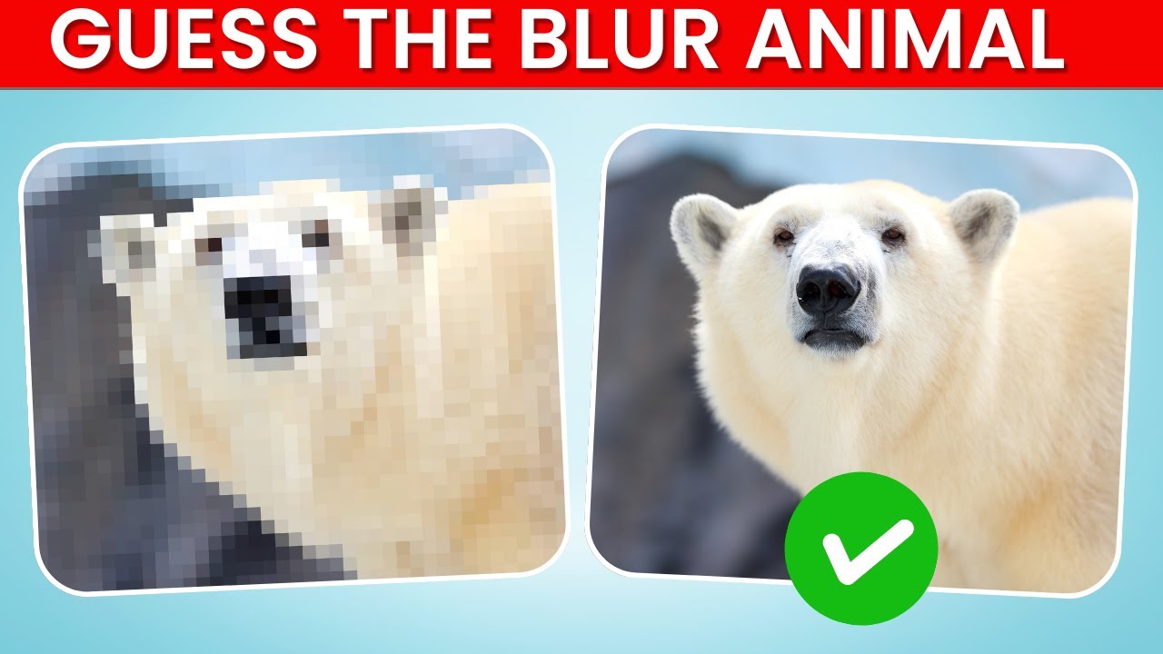 Guess the ANIMAL by the BLURRED picture quiz