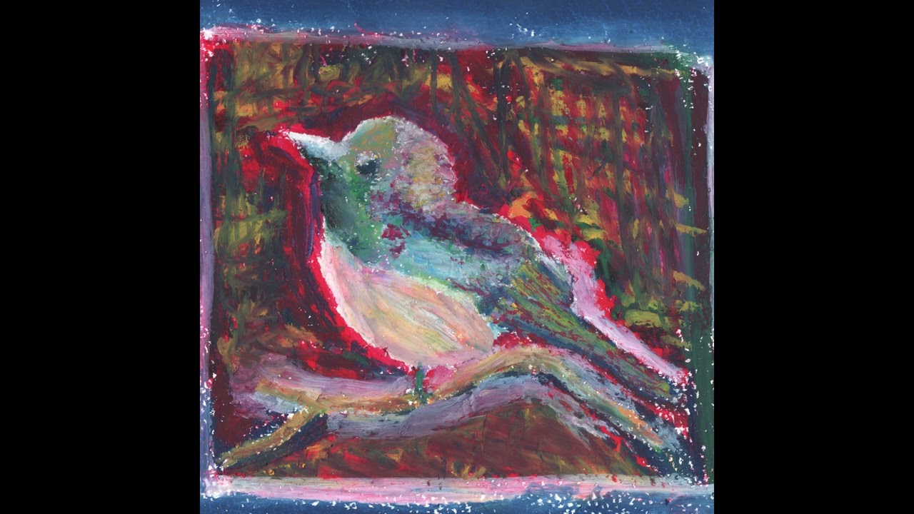 「true bird」