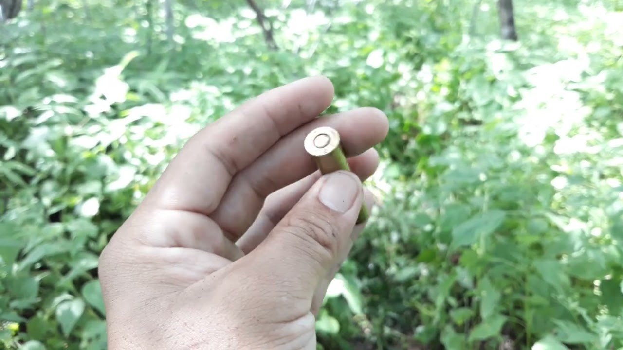 Tiro com espingarda calibre 36 com chumbo n&uacute;mero 6.