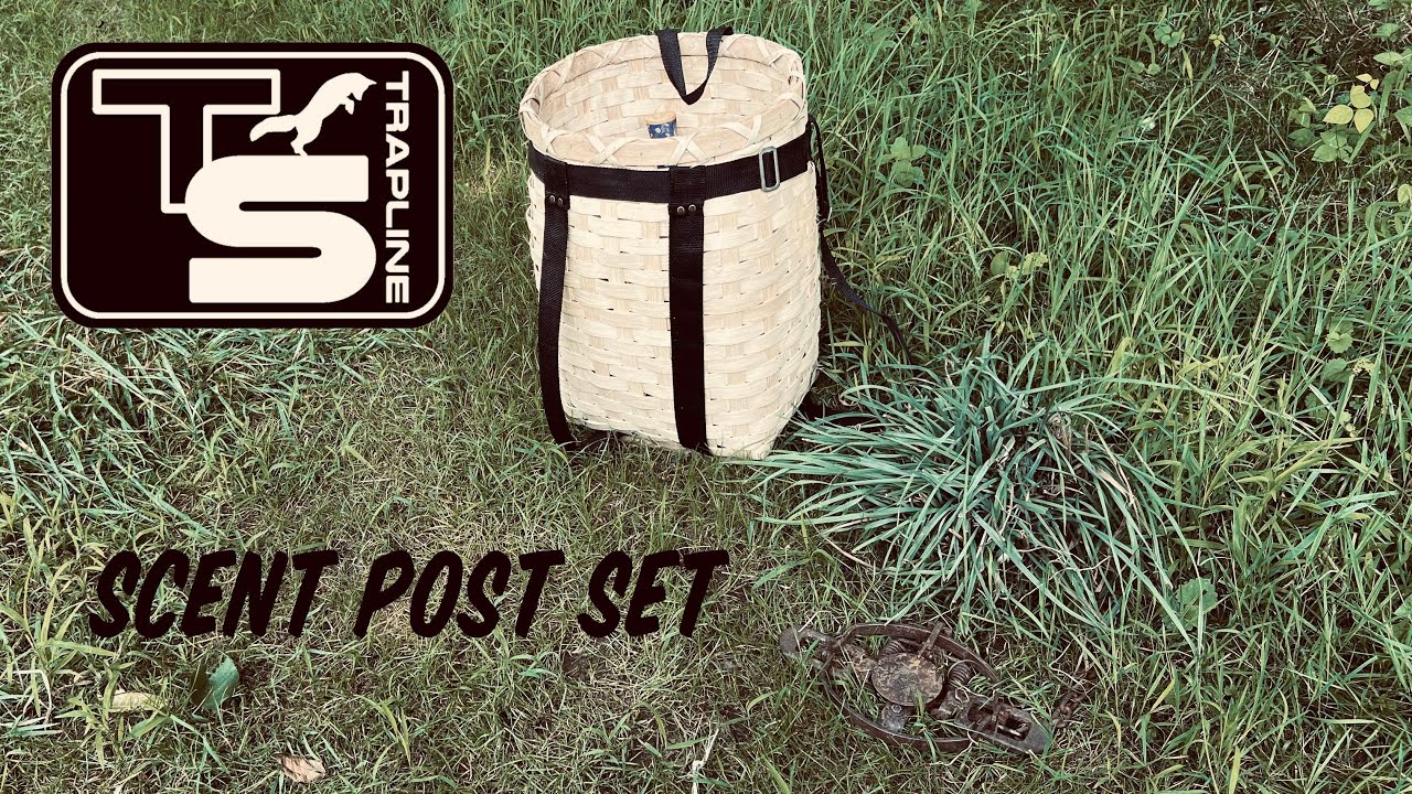 Scent Post Set for Fox & Coyote