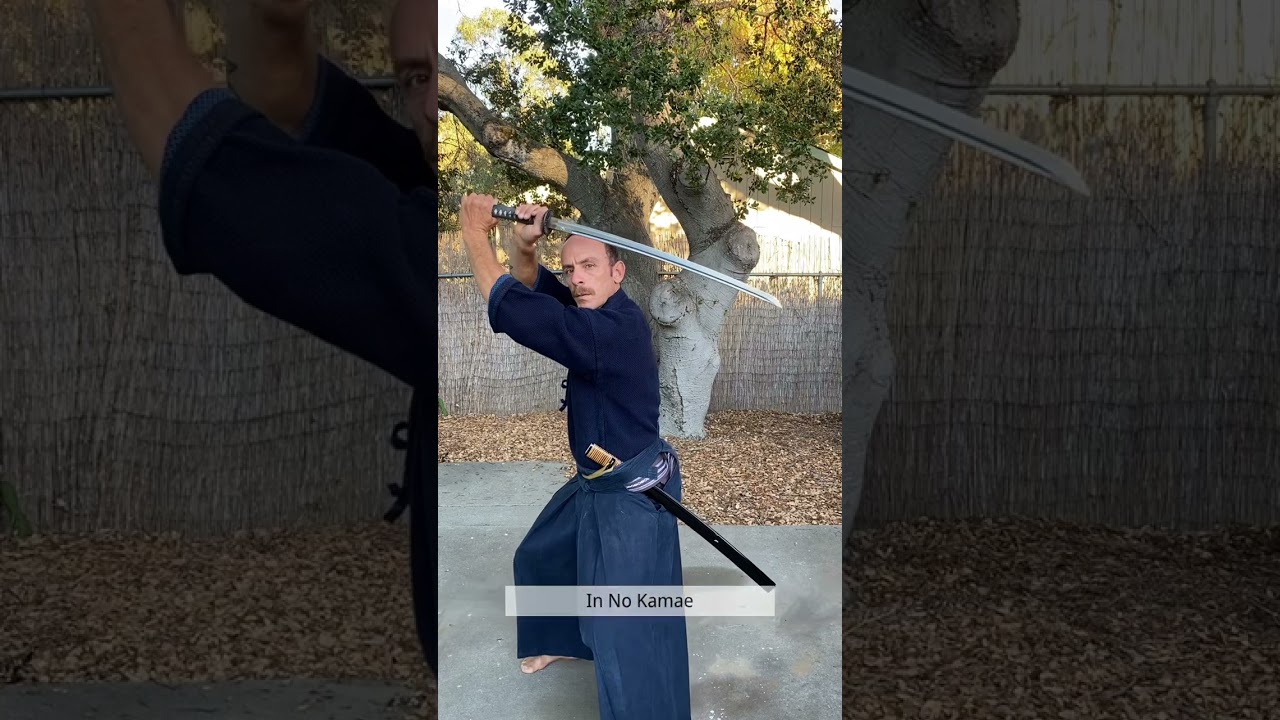 Ryushin Shouchi Ryu Kamae