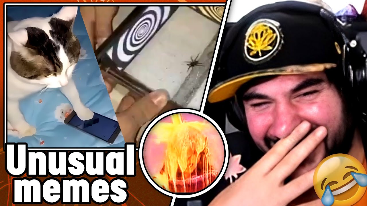PUTUPAU REACCIONA a UNUSUAL MEMES COMPILATION #4
