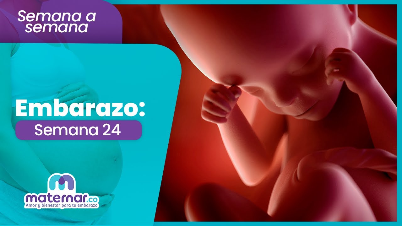 24-я неделя беременности: скрининг гестационного диабета | Maternar.co