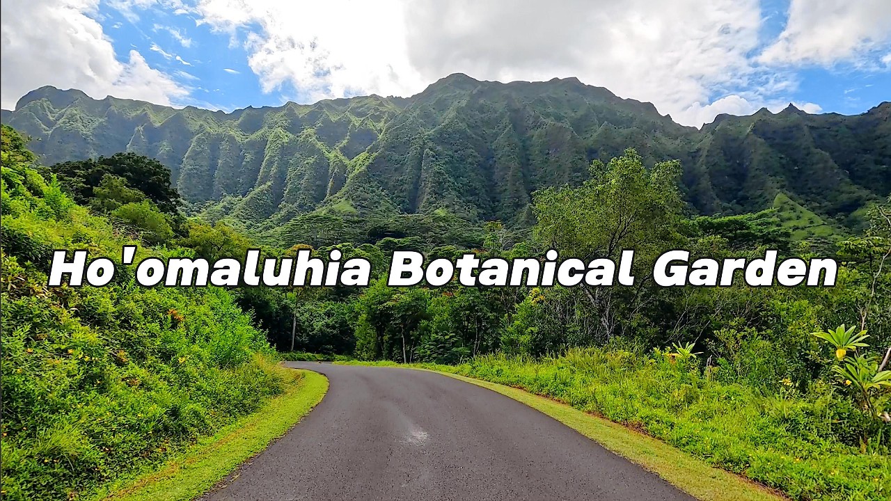 Hoʻomaluhia Botanical Garden Drive Tour | Oahu&rsquo;s Most Beautiful Scenic Road