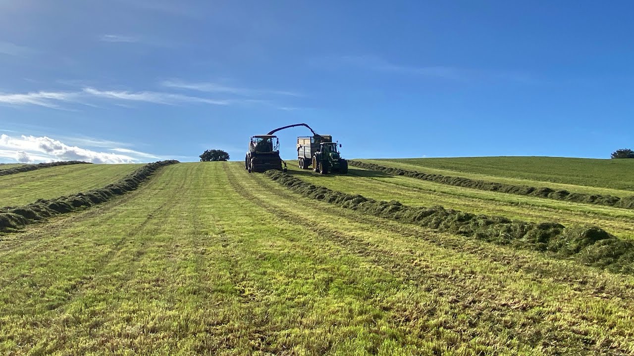 John Dan doing 4th cut silage (2025)