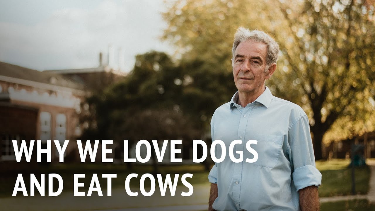Why We Love Dogs and Eat Cows |  Dr Murray Corke