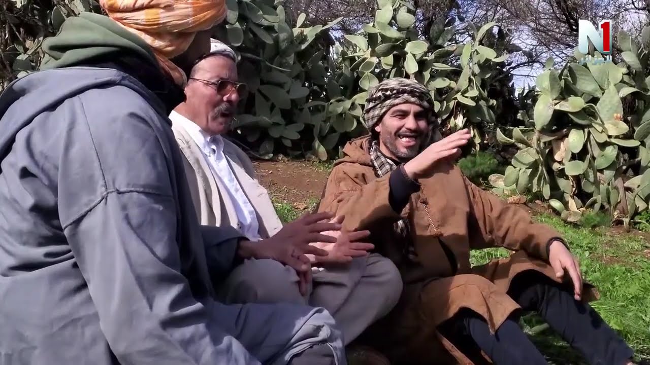 السلسلة الفكاهية 