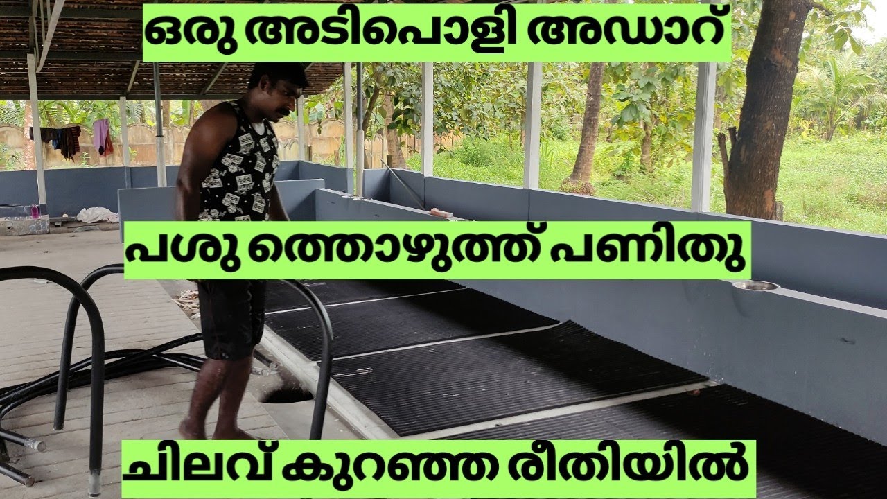 ഹൈടെക് തൊഴുത്ത് ചിലവ് കുറഞ്ഞ രീതിയിൽ എങ്ങിനെ പണിയാം