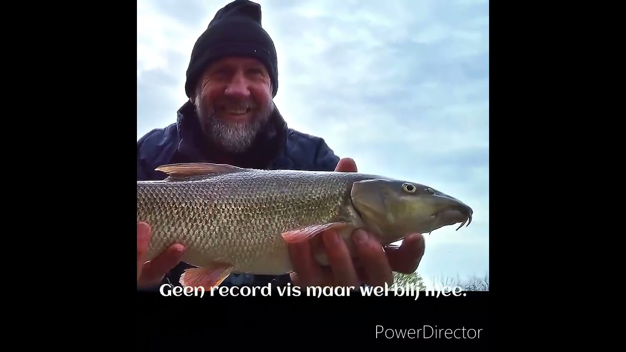 Op zoek naar barbeel op de Maas