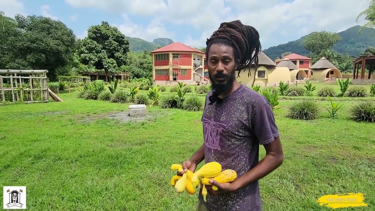 THE LION'S VOICE: EP 52 (Clip) - HABESHA Inc., built a HEALING campus for black people in Africa!