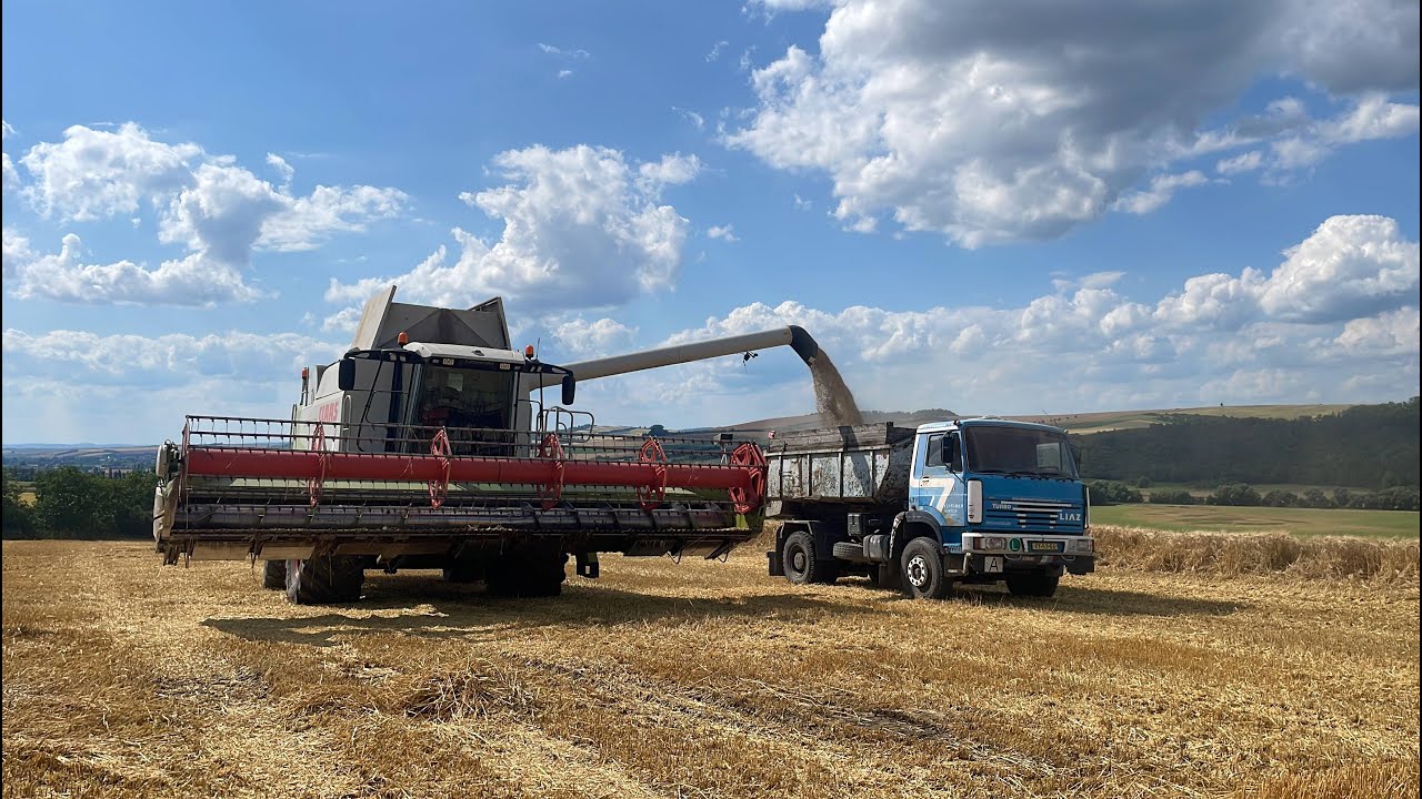 Žně 2k25  Ozim Ječmen Claas Lexion 560, Liaz, Manitou