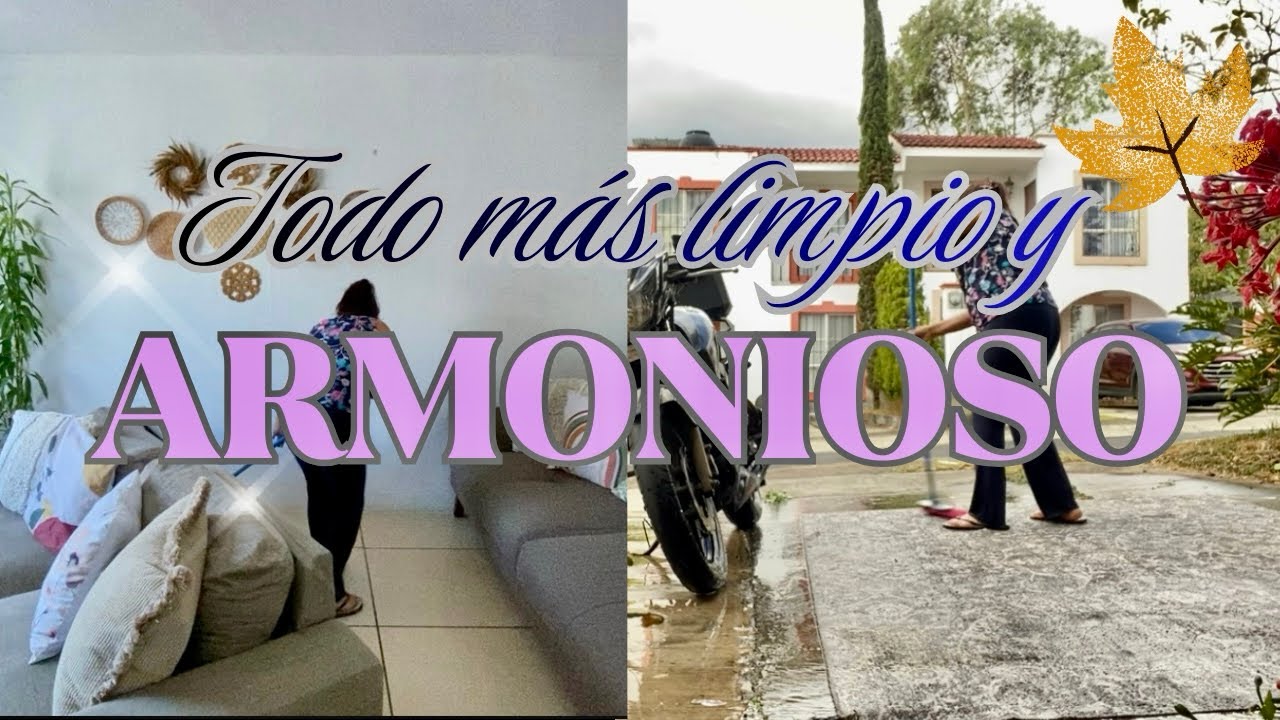 ✨💫  Organice sala + lavado de alfombra, para dejar todo como nuevo/ Lugar más limpio y armonioso 