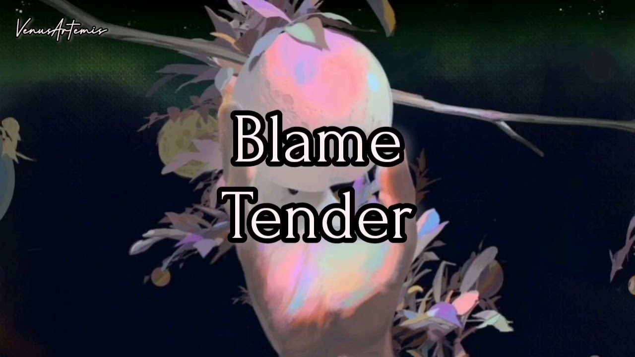 Tender - Blame (Sub. Español//Lyrics)