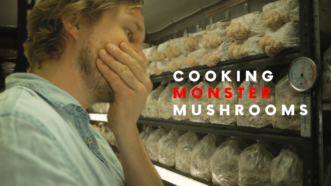 MASTERCEHF'S SIMON TOOHEY COOKS MONSTER MUSHROOMS at Mushroom Connection | The Whole Thing Ep 2