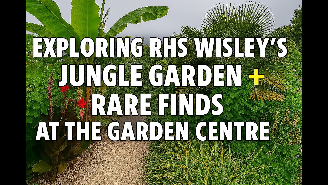 Exploring RHS Wisley's Jungle Garden + Rare Finds at the Garden Centre! August 2025