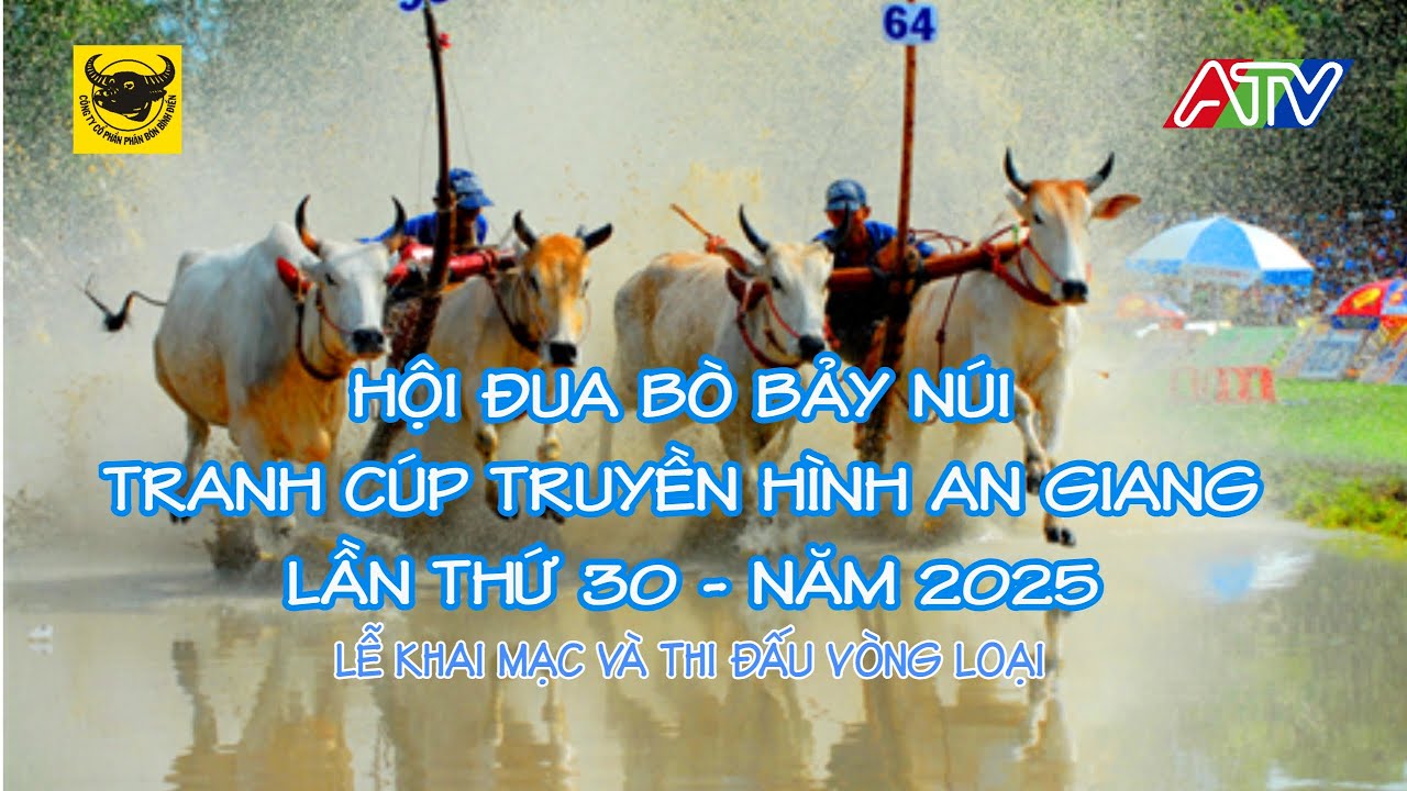 [TRỰC TIẾP] HỘI ĐUA BÒ BẢY NÚI TRANH CÚP TRUYỀN HÌNH AN GIANG LẦN THỨ 30   - NĂM 2025