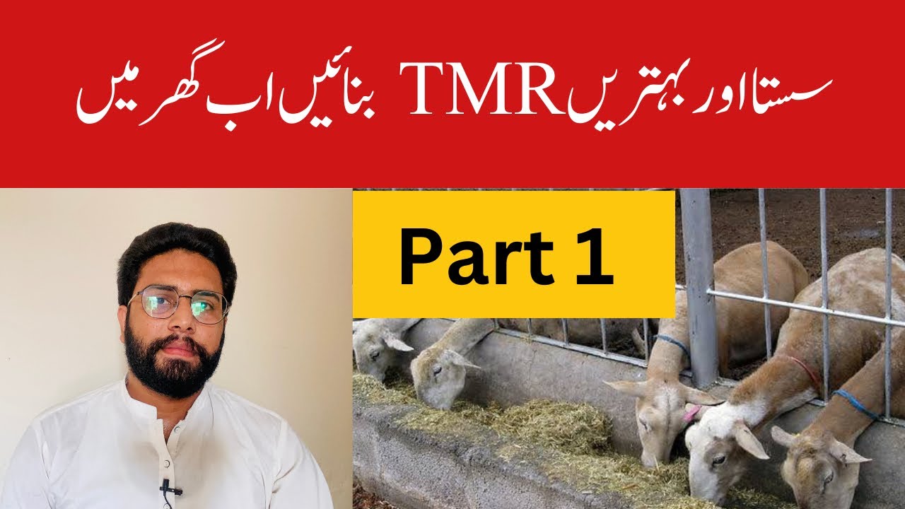 Learn to Make TMR at Home || Make Wanda at Home Now || TMR Formula || Wanda Formula | Dr Noman Ali