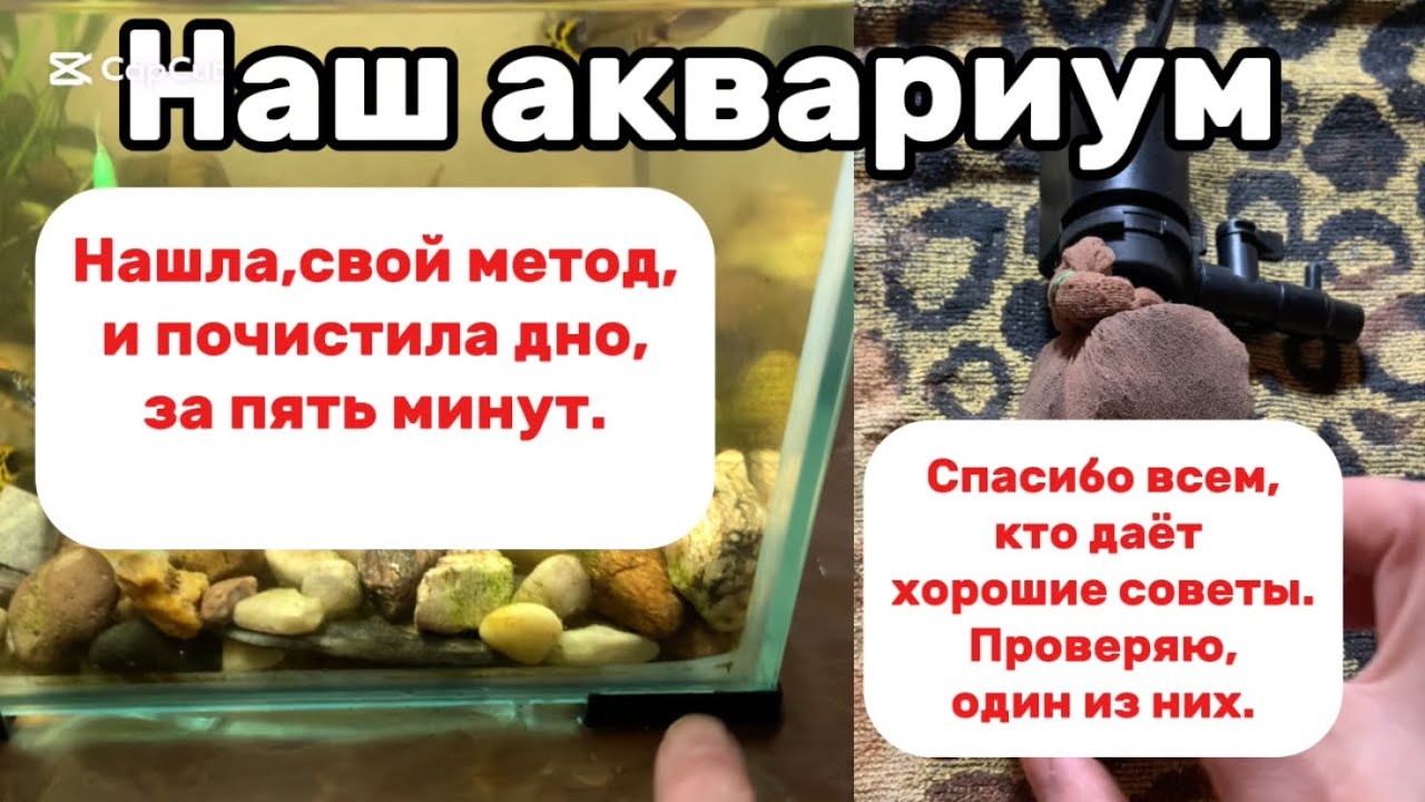 Как почистить дно,в аквариуме,правильно.