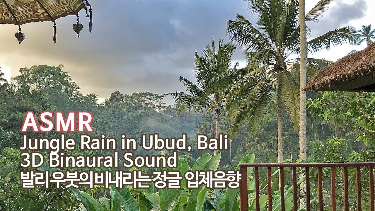 ASMR Jungle Rain 3D Sound in Ubud Bali●비 내리는 정글 입체음향 feat.가믈란 연주 Gamelan Music 발리 우붓