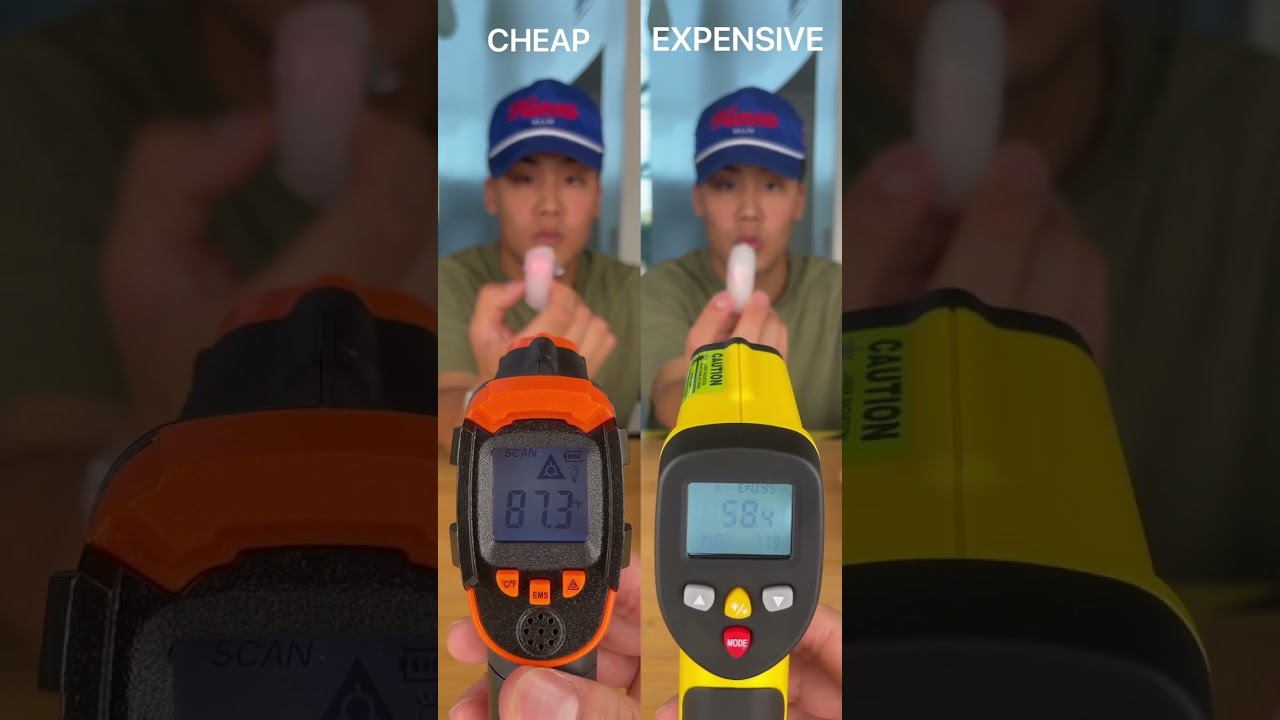 Testing Cheap vs. Expensive Infrared Thermometer Gun