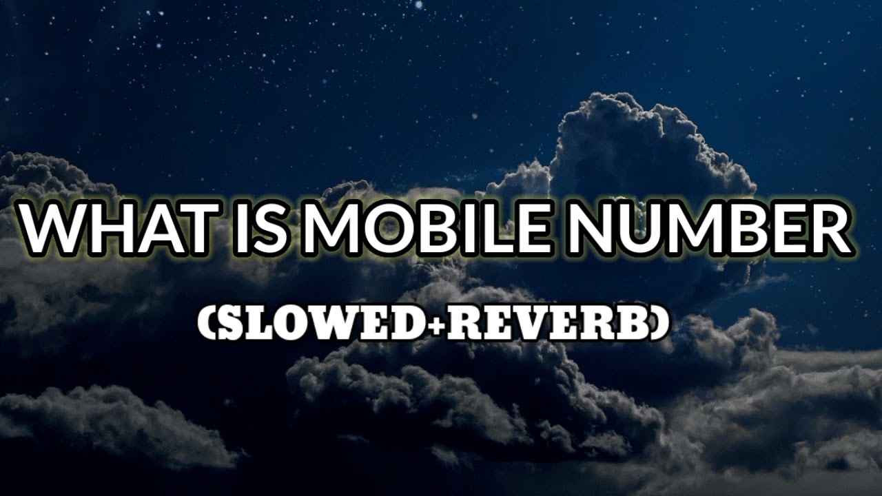 What Is Mobile Number | lo-fi song | Sonu Nigam | Alka yagnik | Haseena Maan Jaayegi | 1999