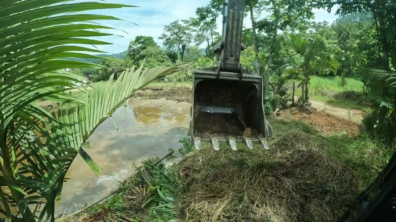 Escavadeira fazendo limpeza de lagoa com muito capim