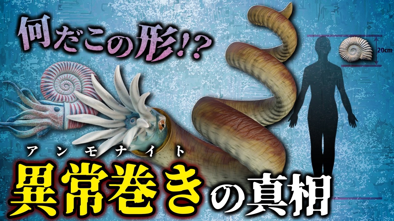 【ゆっくり解説】何だこれ！？謎すぎる異常巻きアンモナイトとは何者なのか？【新作＋傑作選３本】