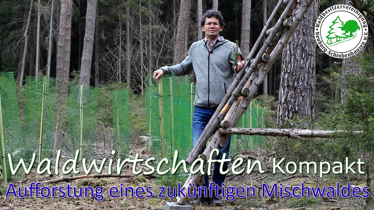 Waldwirtschaften Kompakt - Wir besuchen und kontrollieren eine Aufforstungsfläche