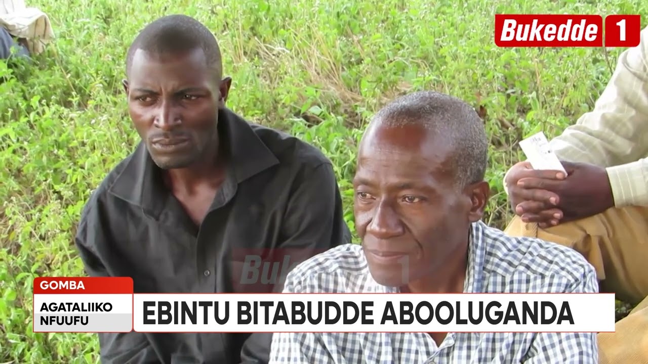 Agataliikonfuufu: Ebintu bitabudde omutabani ne ssenga.Beerangidde   Tamukkiriza kudda waka .