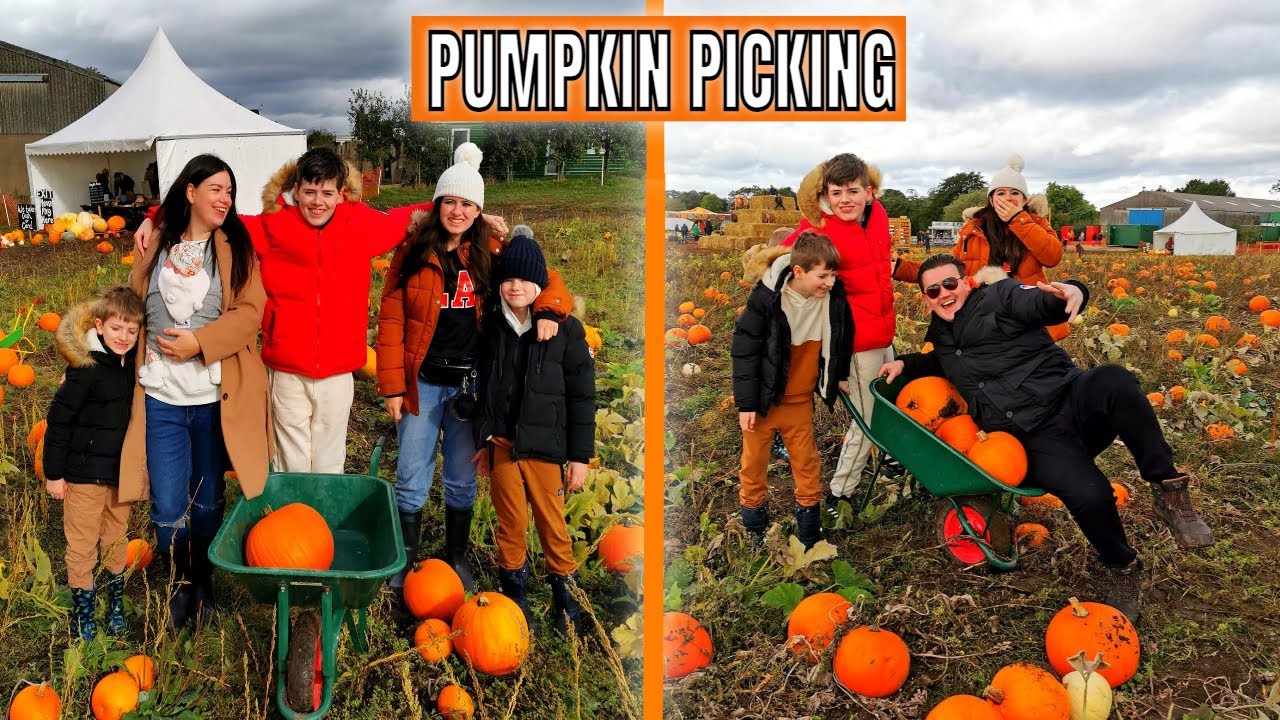 LETS GO PUMPKIN PICKING at spilmans