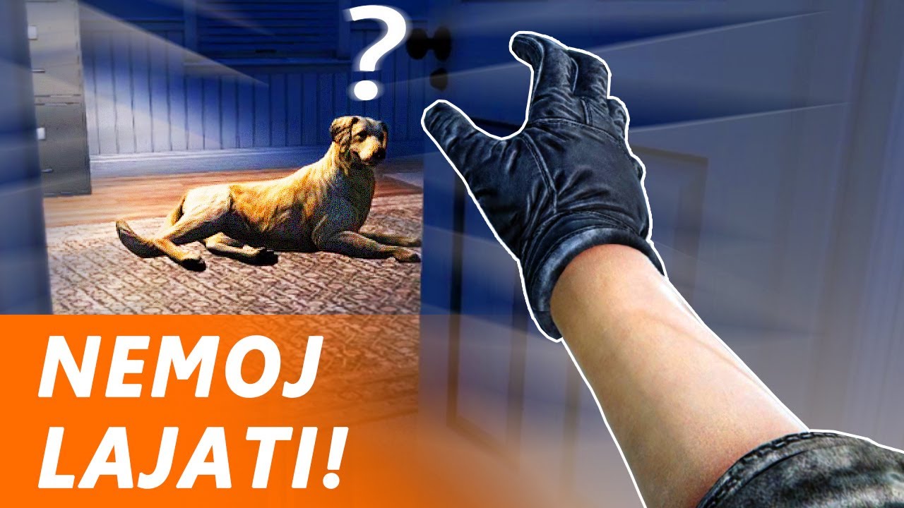 Genijalni LOPOV prevario psa čuvara - Thief Simulator 2 (EP4)