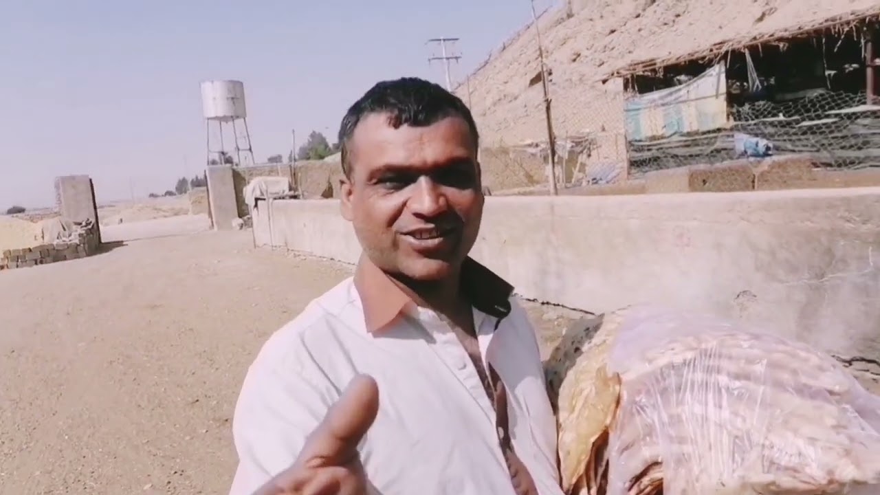 Iran حا شم