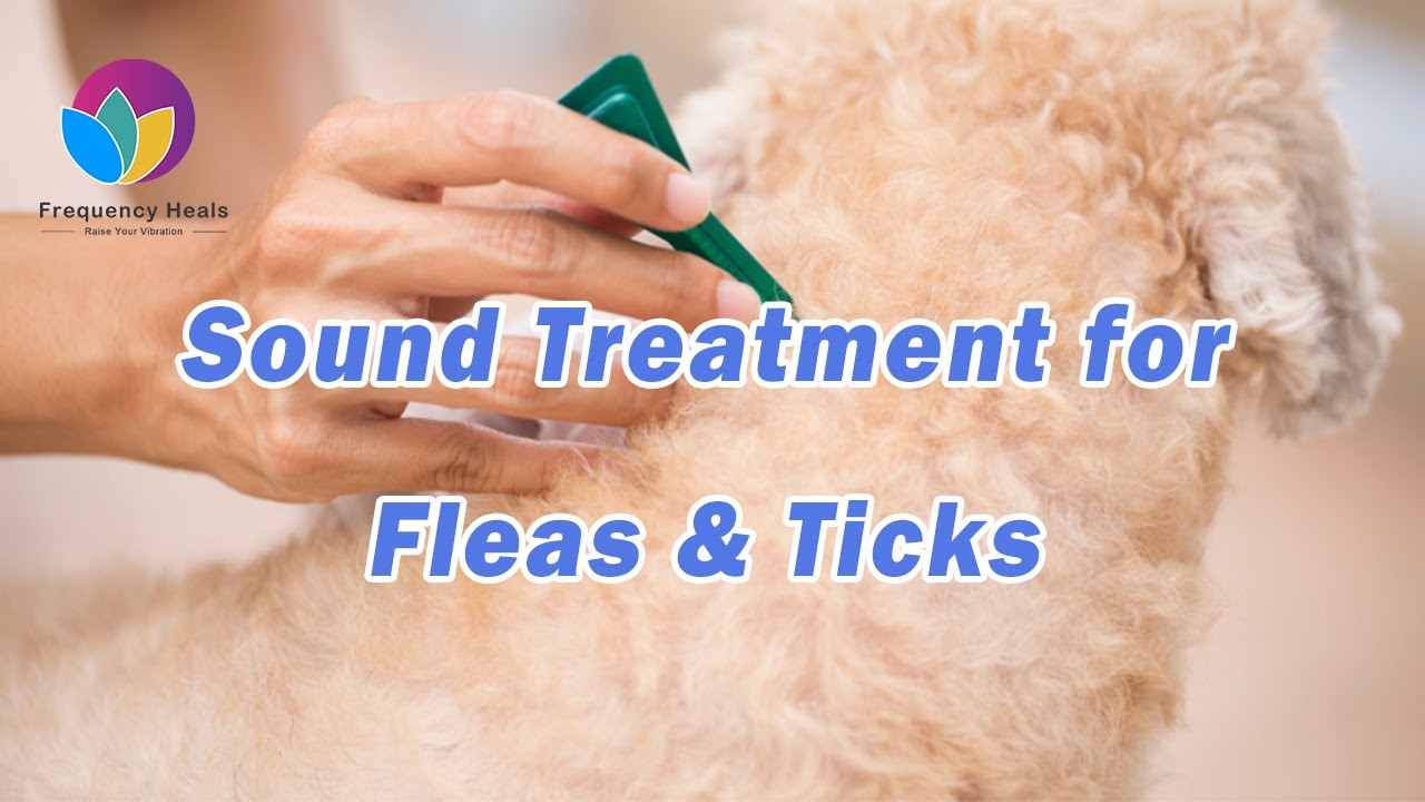 Sound Treatment for Fleas & Ticks | Healing Frequency | Remove Fleas and Ticks from Pets