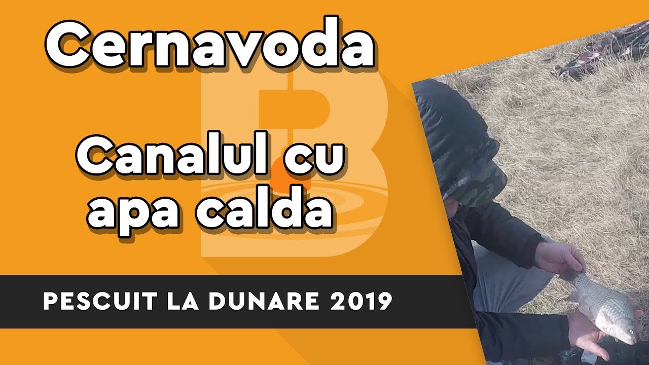 Pescuit 2019 Iarna pe Dunare - Cernavoda, canalul cu apa calda
