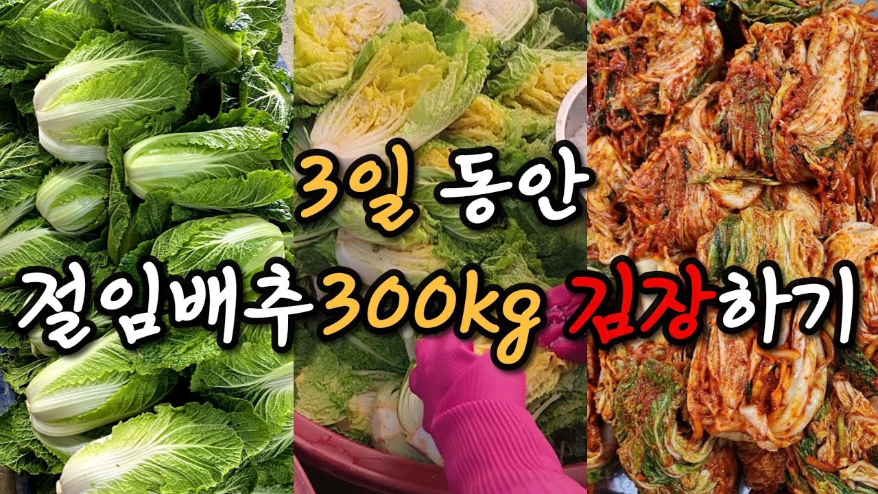 [김장 브이로그] 배추 수확부터 3일간의 김장 모아보기