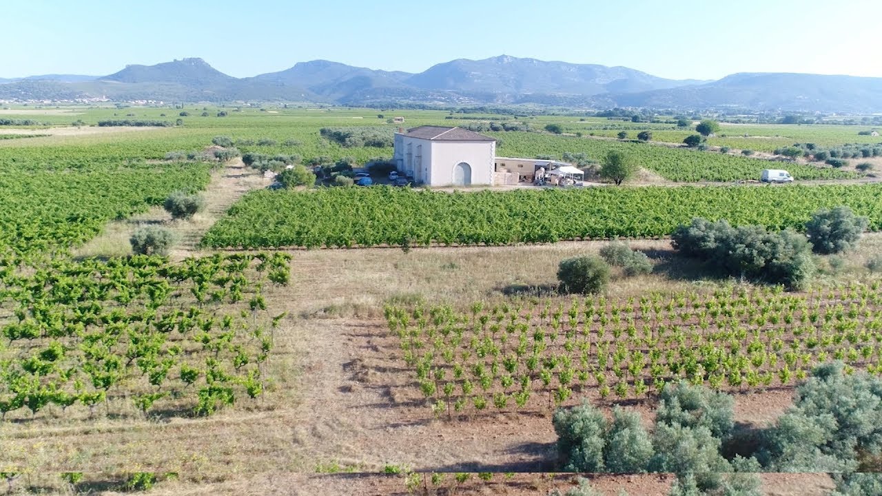 La Pèira: 2016 Millésime / Vintage  [Terrasses du Larzac]