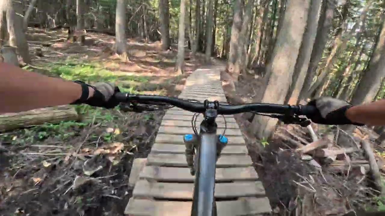 Favourite Green Trail in Fernie - Duff Dynasty!